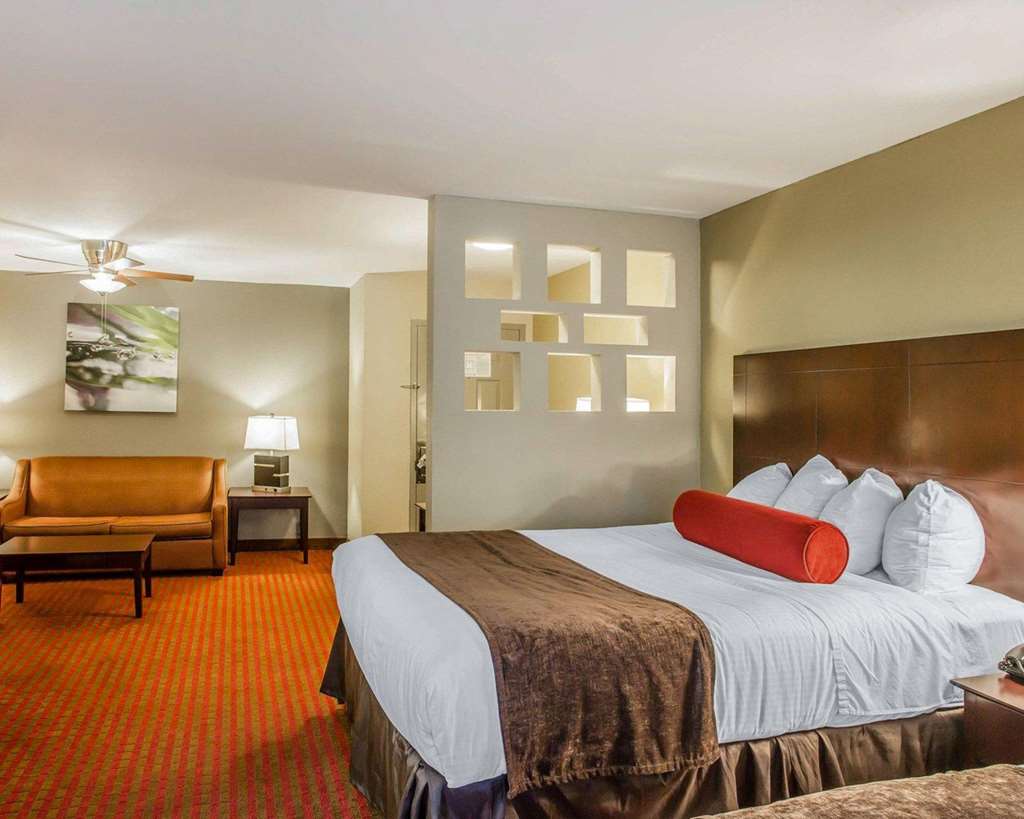 Quality Suites Nashville Airport - photo 27