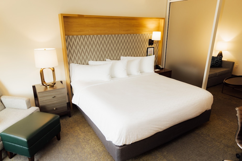 Holiday Inn Hotel & Suites Hopkinsville Convention Ctr by IHG - photo 5