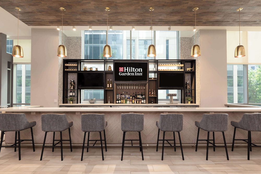 Hilton Garden Inn Long Island City New York - photo 39
