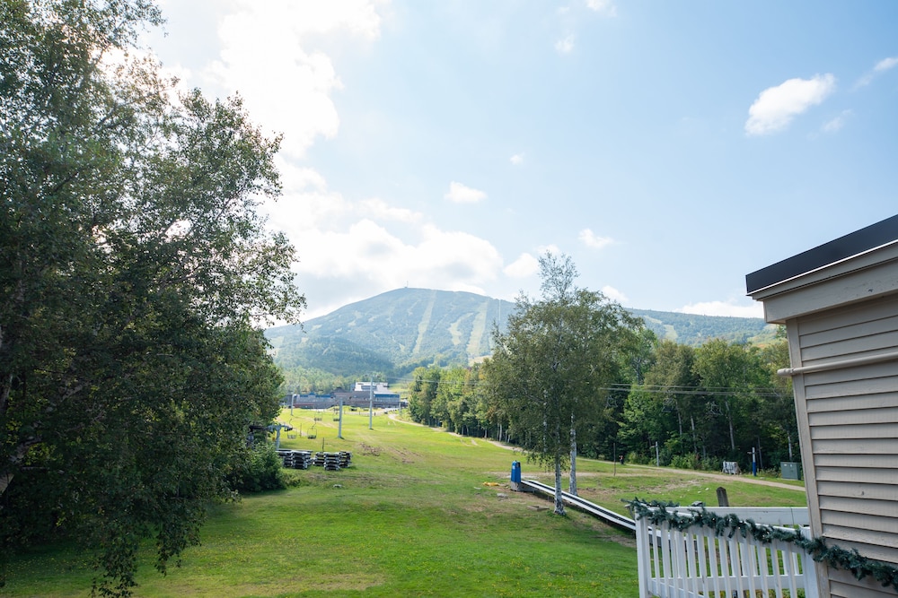 Sugarloaf Inn - photo 95