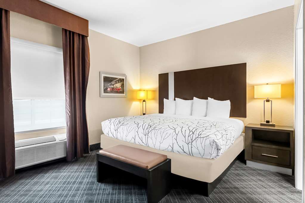 Best Western Boerne Inn & Suites - photo 8