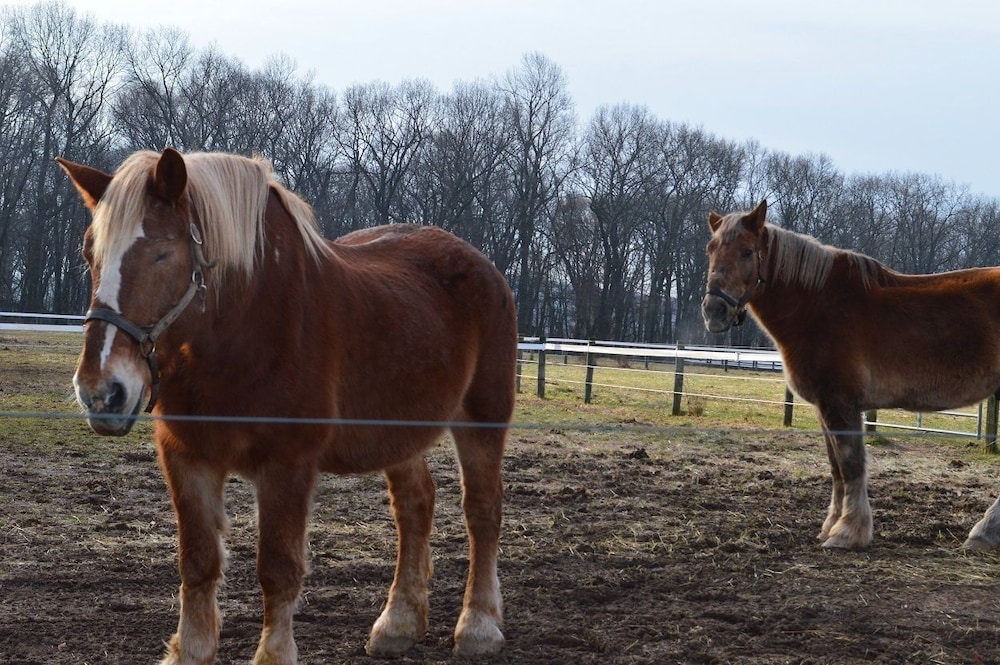 Flint Hill Farm AG - photo 3
