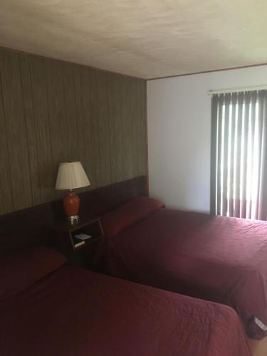 Michael Dee's Motel - photo 15