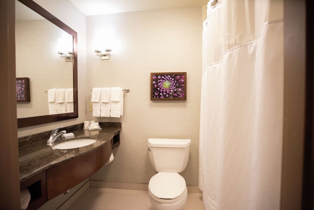 Hilton Garden Inn Covington - photo 28