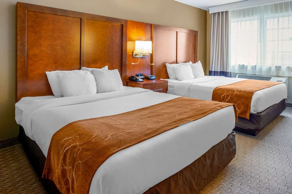 Comfort Suites Burlington - photo 25