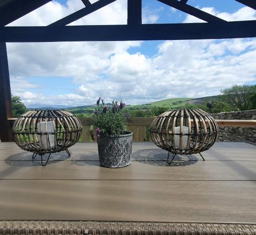 The Lawn Yurt