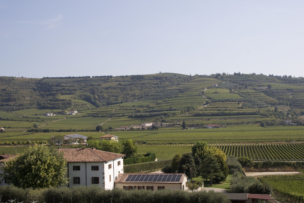 VerdeOlivo1876 Apartments with Pool — 4-Star Luxury Hotel in Mezzane Di Sotto, Italy