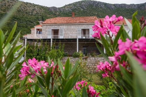 Apartments with parking space Brsecine Dubrovnik 8549