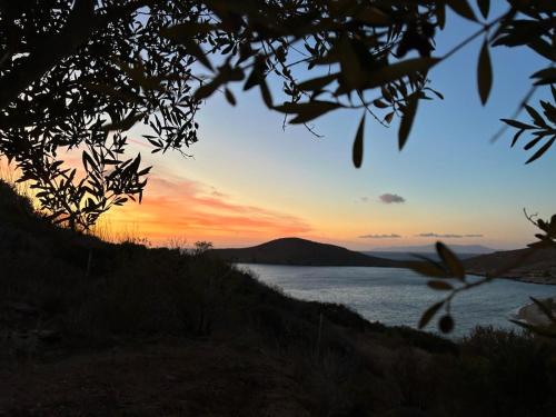 Delfini Suites in Ano Syros, Greece