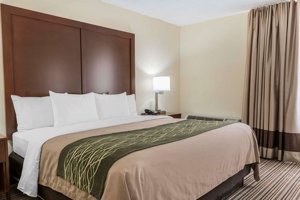 Comfort Inn Pocono Mountains - photo 20
