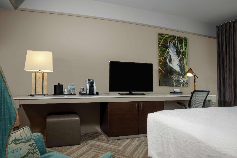 Hilton Garden Inn Mobile Downtown - photo 78