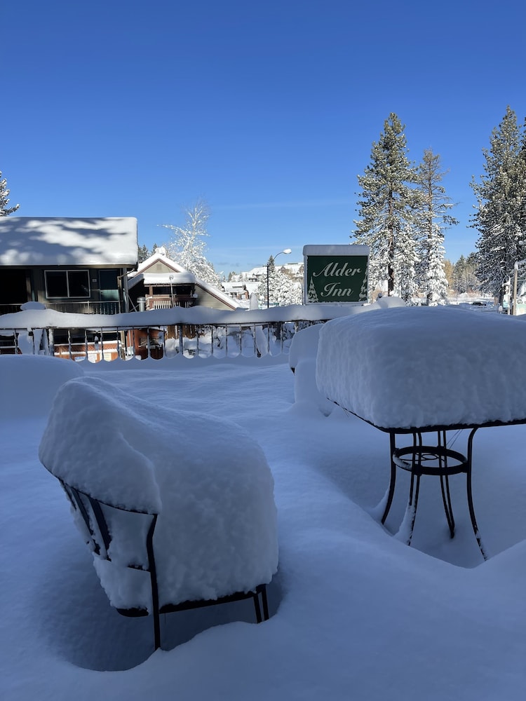 Alder Inn - photo 56