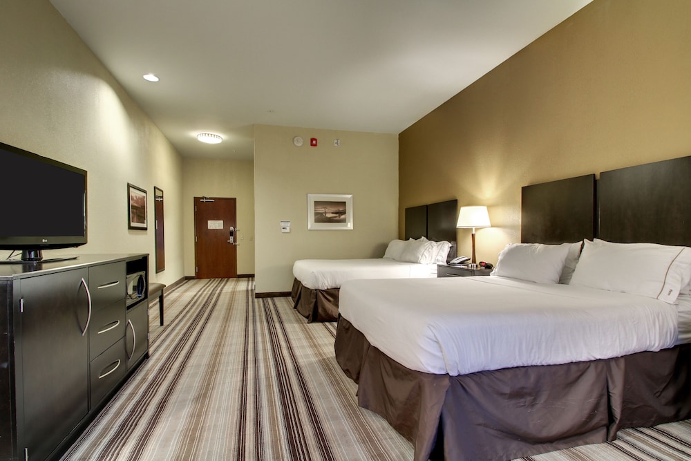 Holiday Inn Express Hotel & Suites Natchez South by IHG - photo 15