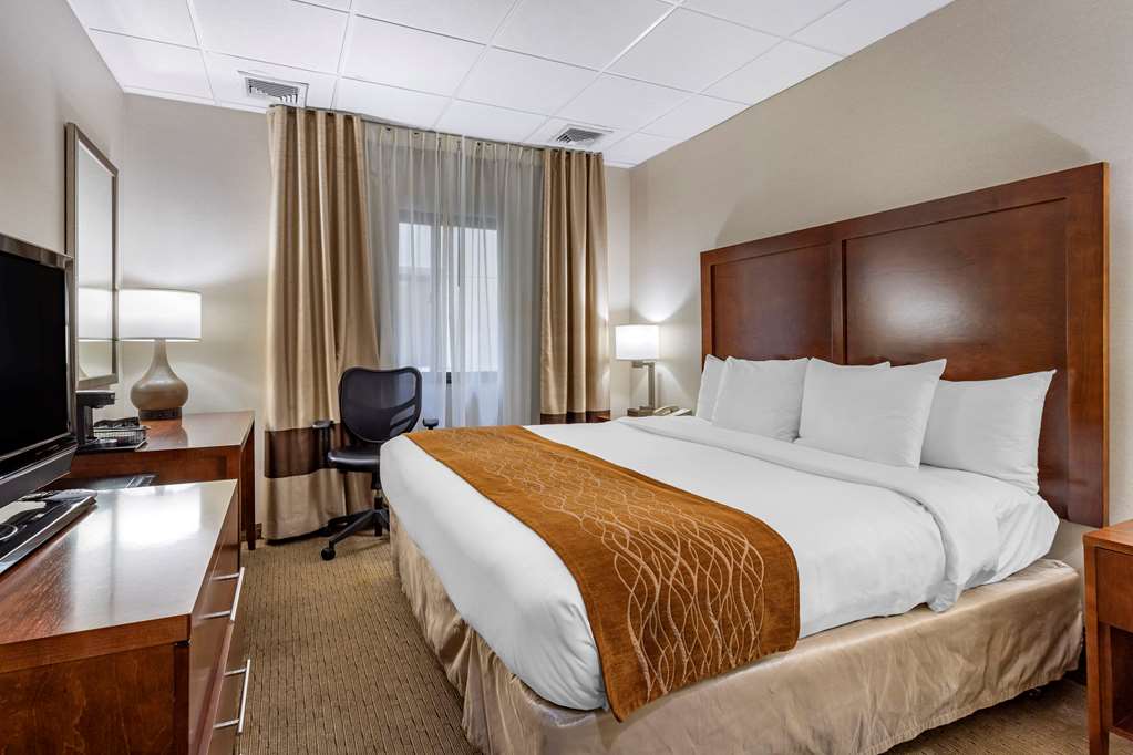 Comfort Inn Syosset Long Island - photo 9