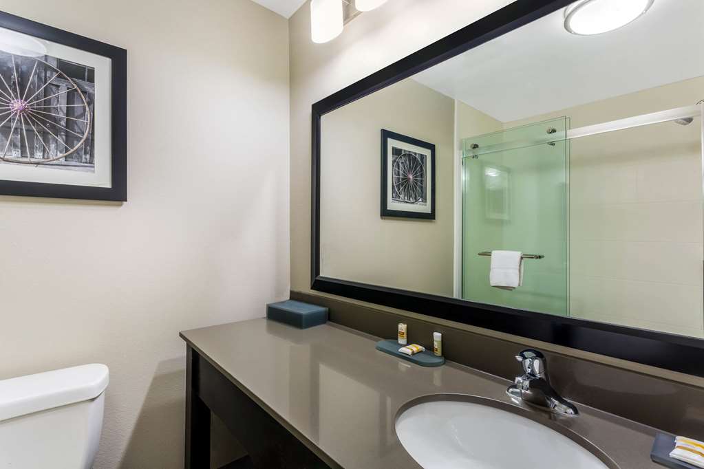 La Quinta Inn & Suites by Wyndham Monahans - photo 15