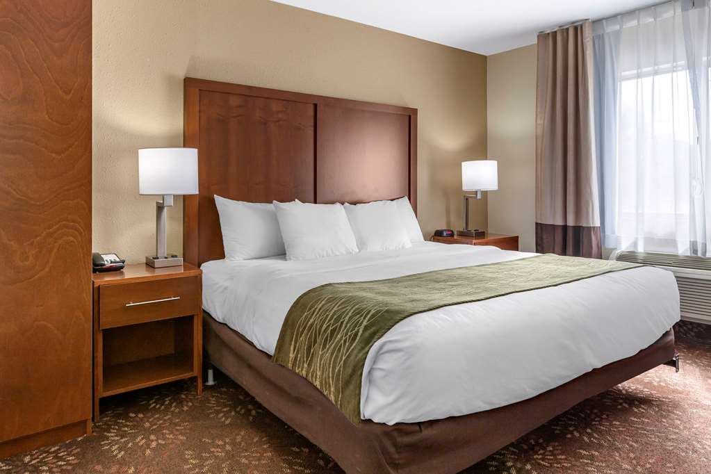 Comfort Inn Okemos East Lansing - photo 21
