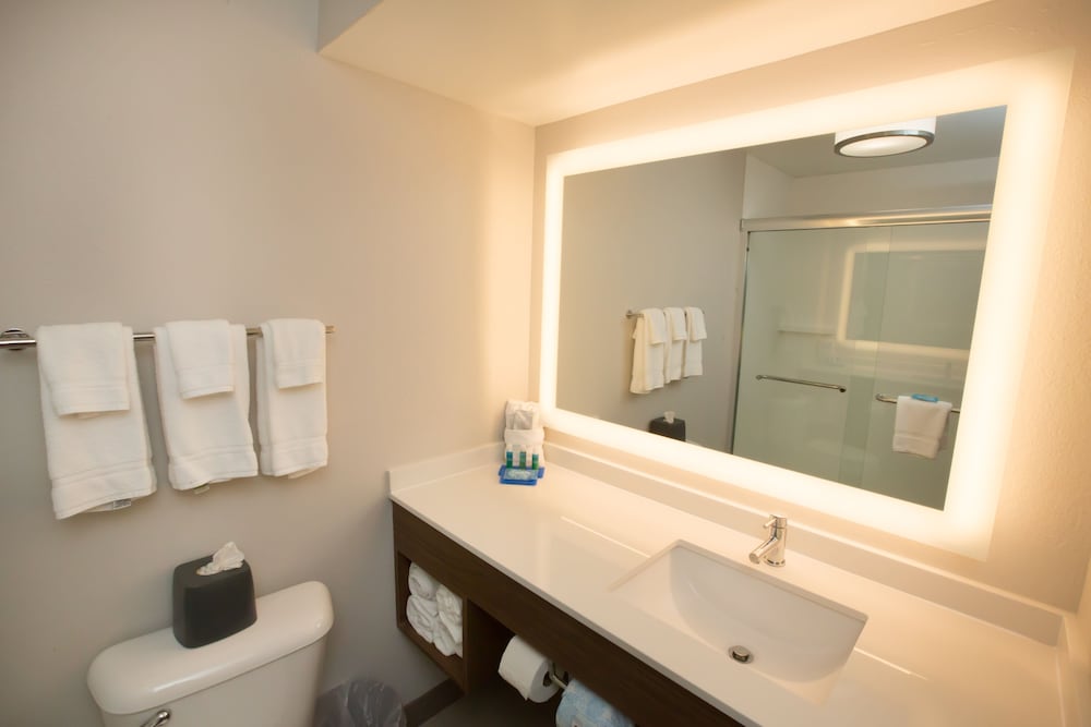 Holiday Inn Express Hotel & Suites Madison by IHG - photo 44