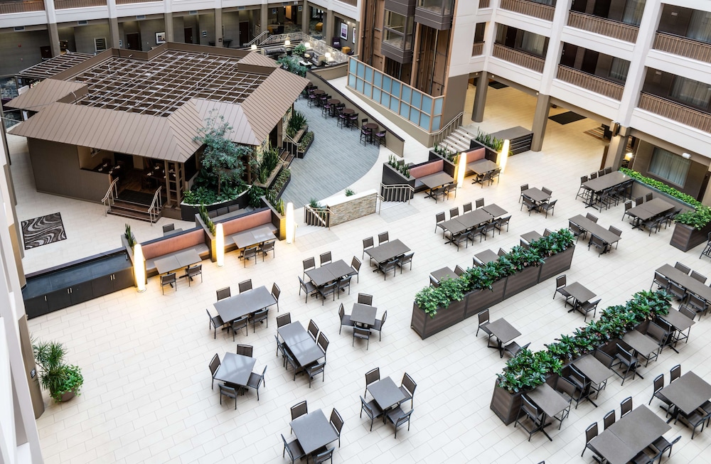 Embassy Suites by Hilton Chicago North Shore Deerfield - photo 6