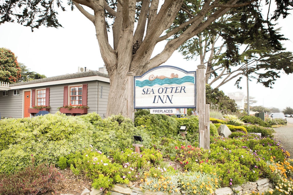 Sea Otter Inn - photo 34