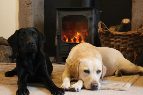 Cardross Holiday Cottages — Stirling