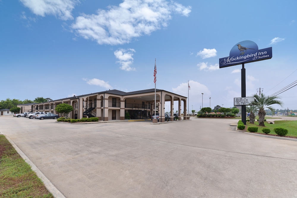 Mockingbird Inn & Suites - photo 35