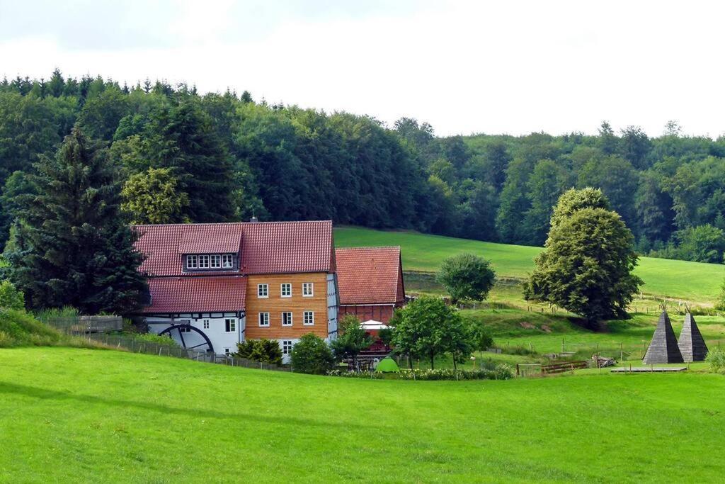 Historische romantische Mühle — Waldeck — photo 2