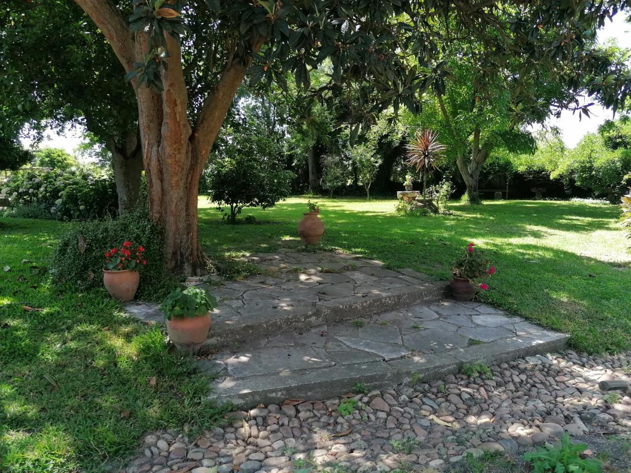 Quinta Da Torre — Alpiarca — photo 4