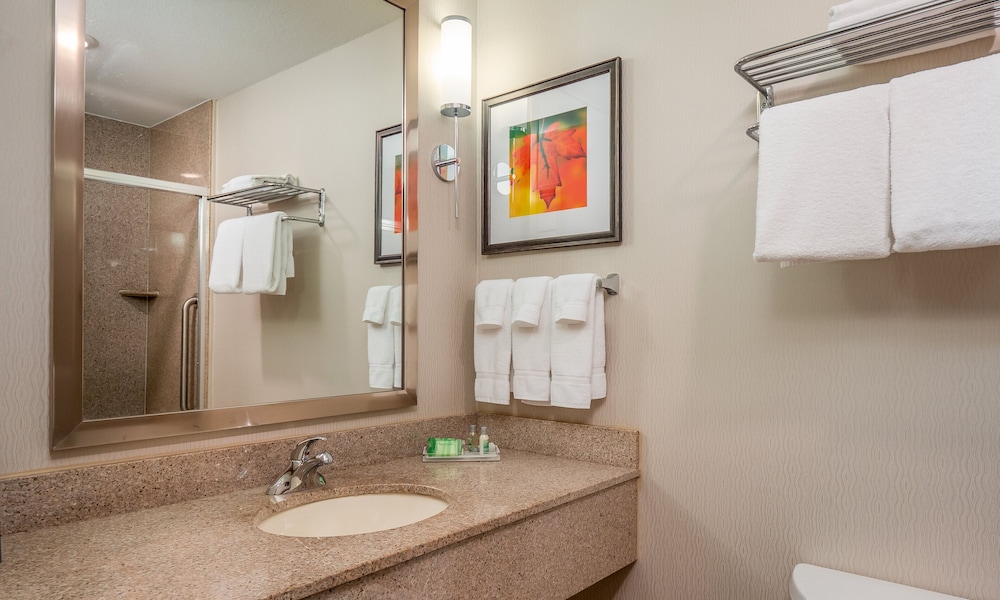 Holiday Inn Stevens Point Convention Ctr by IHG - photo 14