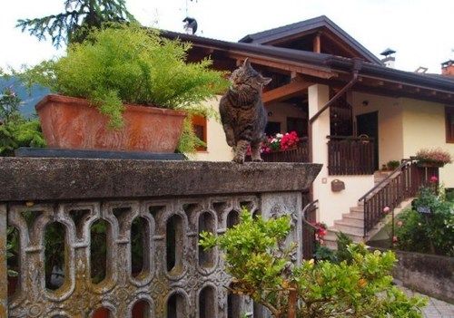 Agritur Agrihouse — Campodenno — photo 5
