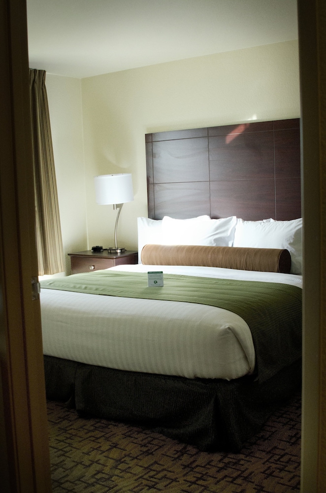 Cobblestone Inn & Suites Soda Springs - photo 11