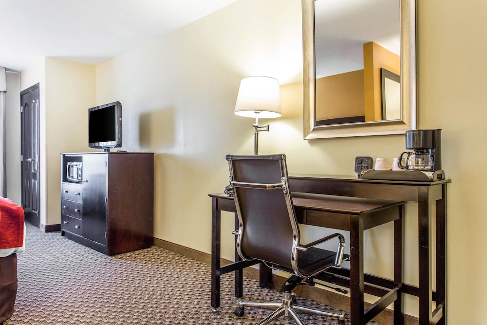 Comfort Suites Clinton near Presbyterian College - photo 21