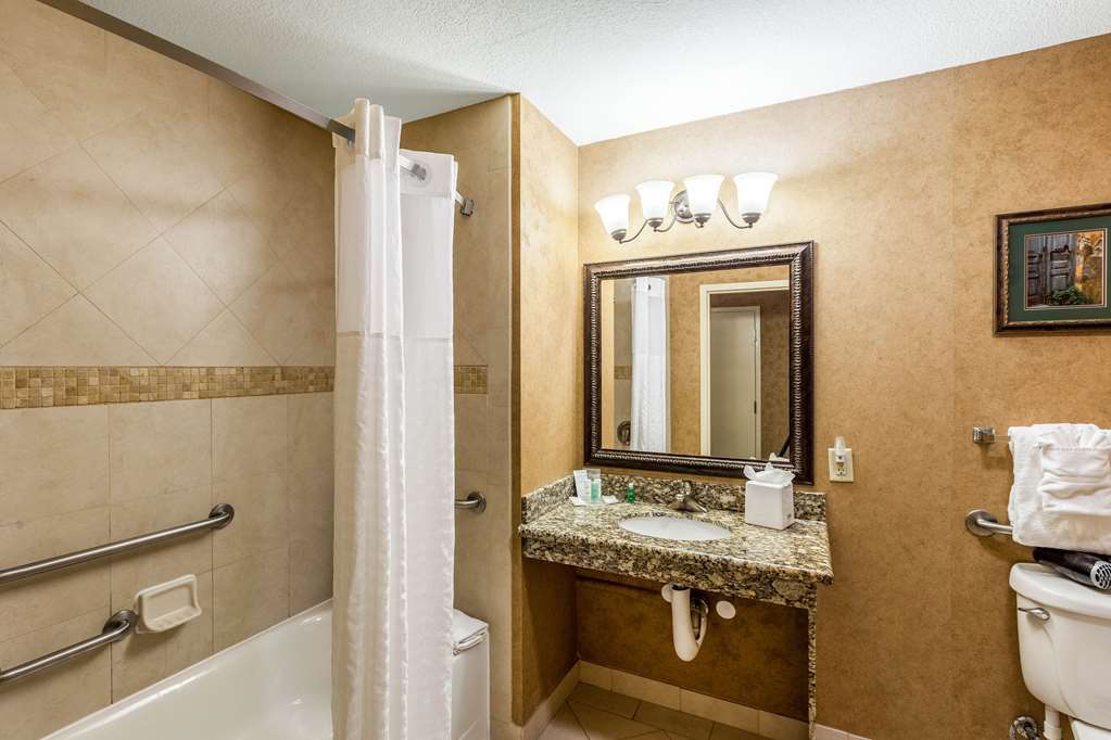 Comfort Suites Alamo Riverwalk - photo 6