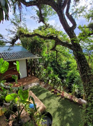 Cabañas En Zona 16 — 4-Star Luxury Hotel in Guatemala City, Guatemala
