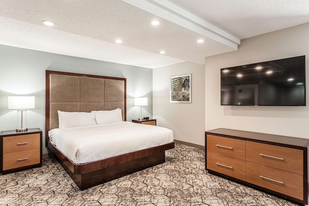 DoubleTree by Hilton Hotel Memphis - photo 24