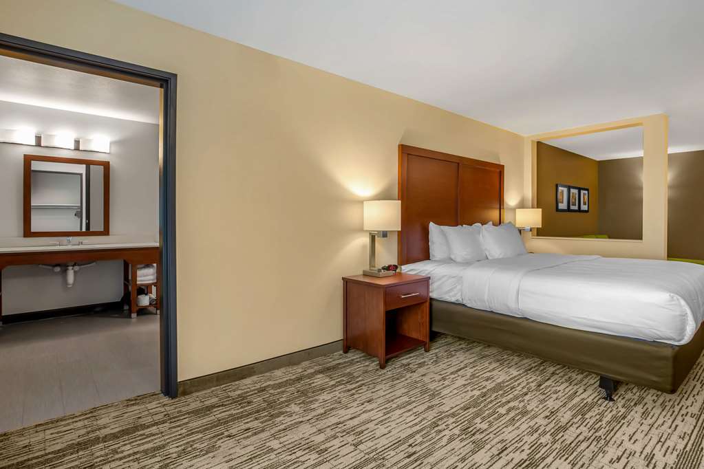 Comfort Inn and Suites Ames near ISU Campus - photo 22