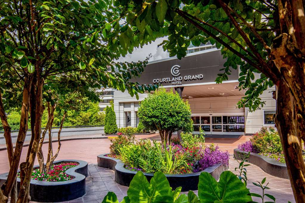 Courtland Grand Hotel Trademark Collection by Wyndham - photo 4