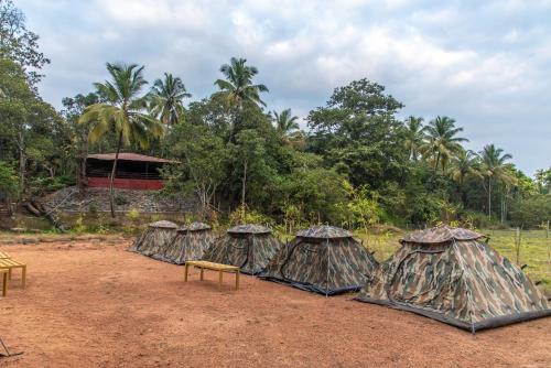 Dandeli Serene Jungle Resort — Dandeli