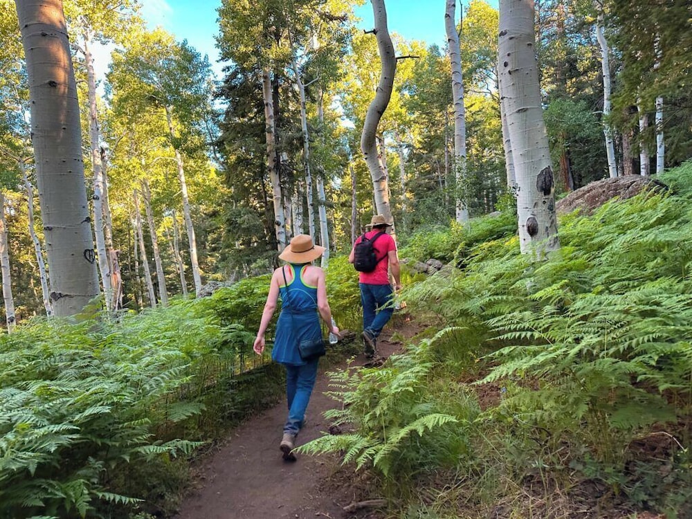 voco Flagstaff by IHG - photo 76