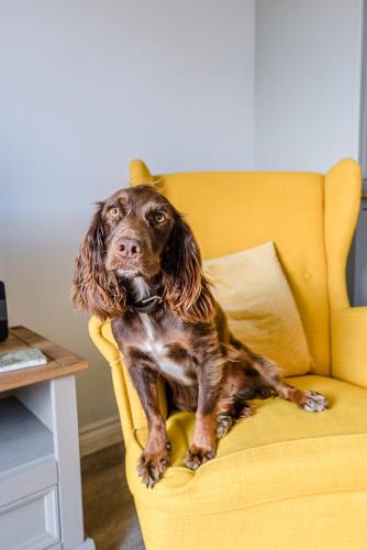 Martlet Cottage Aldeburgh — 4-Star Luxury Hotel in Aldeburgh, United Kingdom