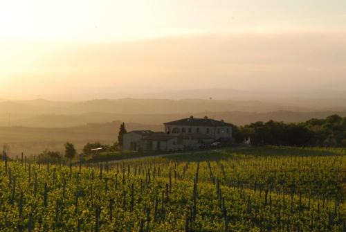 Agriturismo Scannano — 4-Star Luxury Hotel in Rapolano Terme, Italy