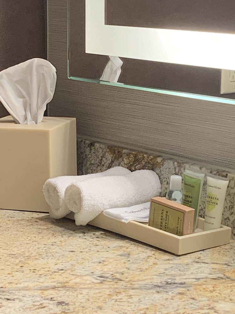 DoubleTree by Hilton San Antonio Airport - photo 11
