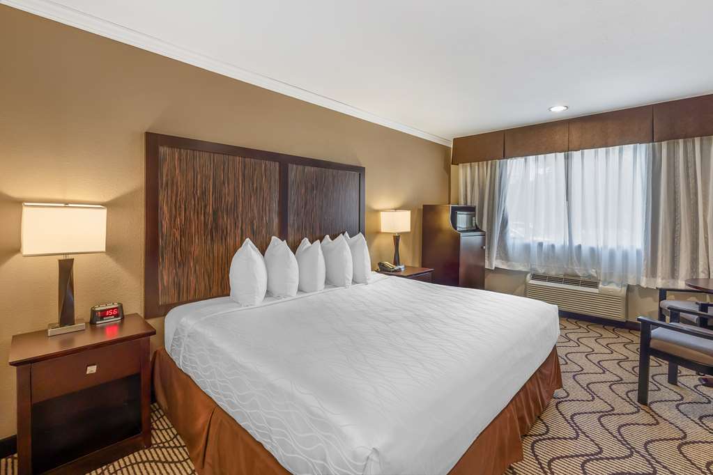 Best Western Plus Orchid Hotel & Suites - photo 49