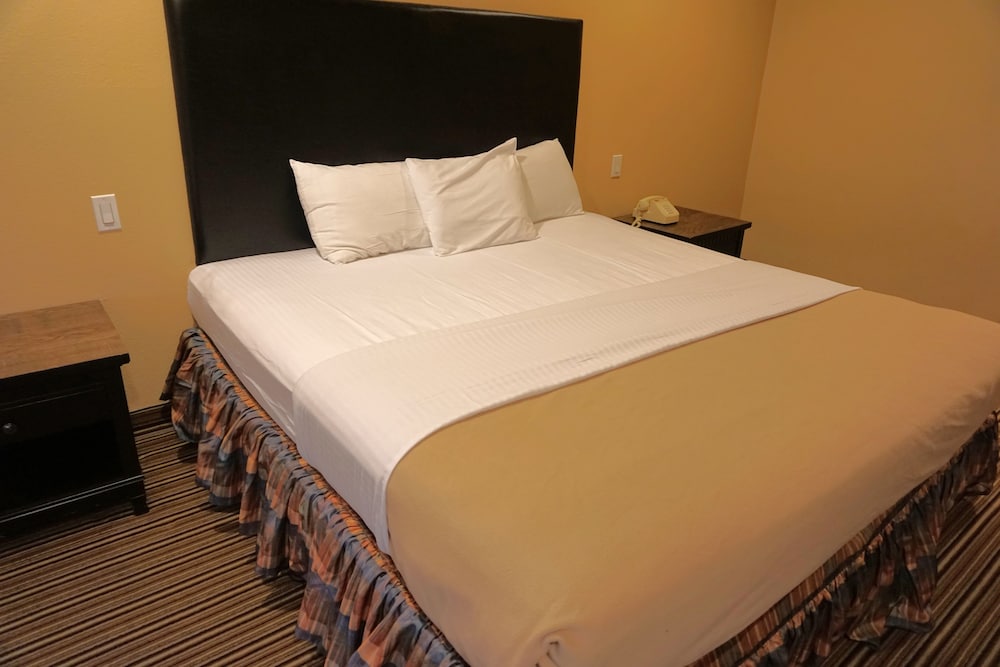 Hollywood Inn Express South - photo 9
