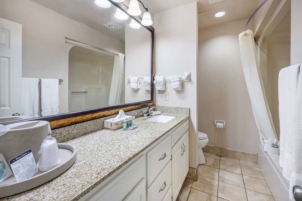 Best Western Spring Hill Inn & Suites - photo 21