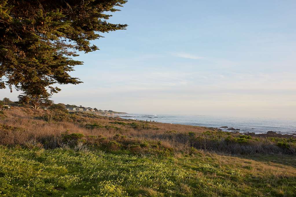 White Water - photo 3