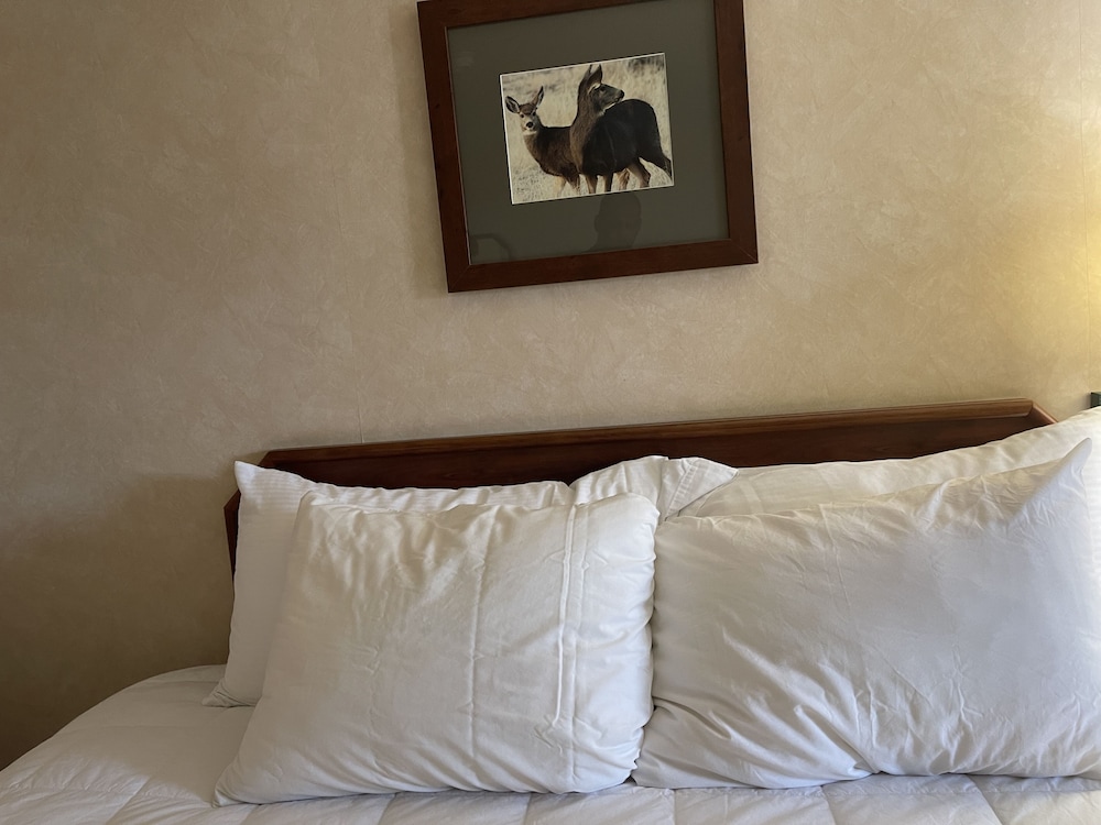Hotel Yuma - photo 77
