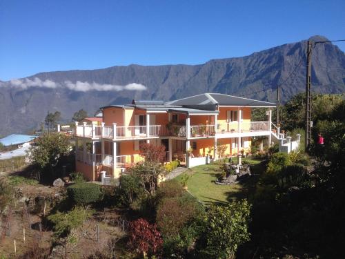 Les Begonias in Cilaos, Réunion