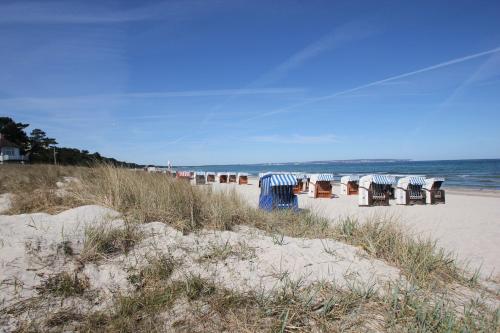 Aparthotel Ostsee Ferienwohnung 15 — Ostseebad Binz — photo 2