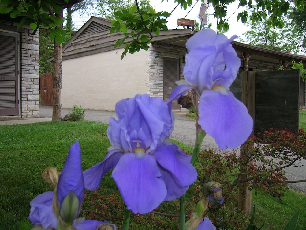 The Mountaineer Inn - photo 18
