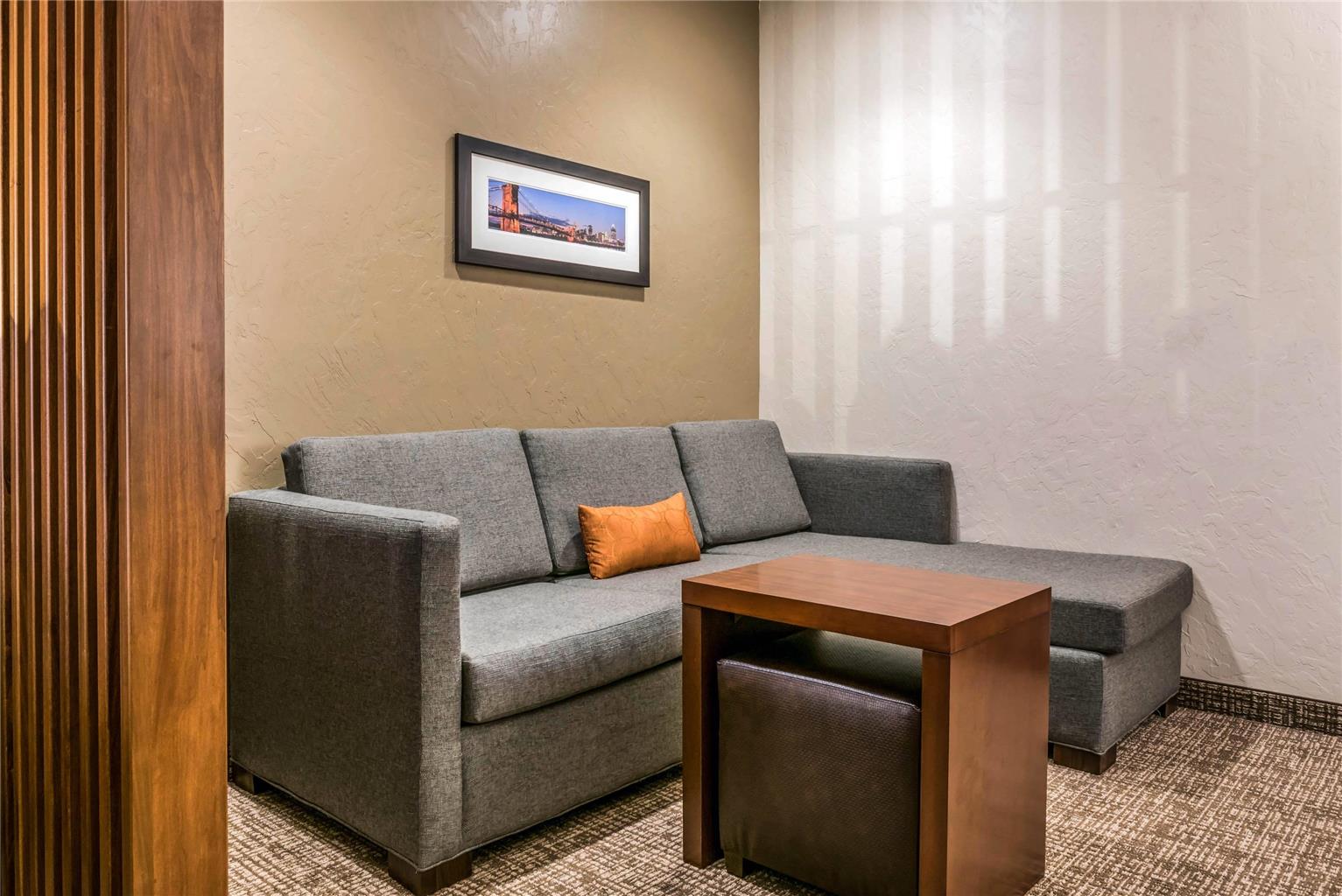 Comfort Suites Florence Cincinnati South - photo 28